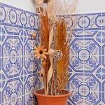 Jorge Aguas - 2bedroom In The Town Of - Sea View Апартаменты Бургау